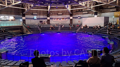 イルカショーを行う「ザ・スタジアム」