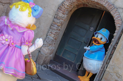 ドナルドとデイジー(ディズニーシー)