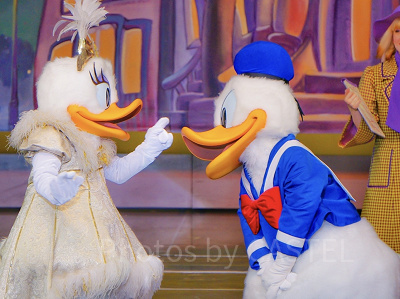 WDCC デイジーダック デビュー かしこいメンドリ WDCC デイジーダック