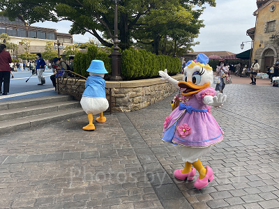 ドナルド&デイジー