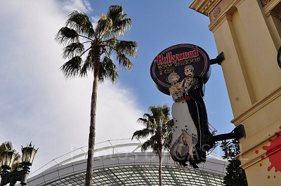 ドナルドダックがハリウッドスターに！