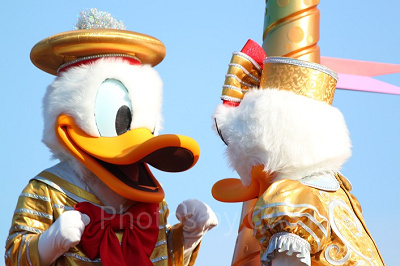 主役はドナルド！