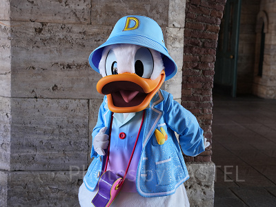 ディズニーシーで会えるドナルド