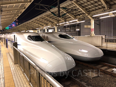 旅行会社の特別特典や交通チケットがお得なツアーも見逃せない！