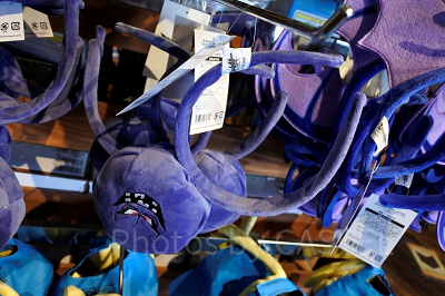ニジゲンノモリ「ドラゴンクエストアイランド 」／勇者の証