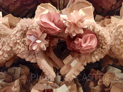 ダッフィー＆フレンズのサークル・オブ・フレンドシップ：シェリーメイのカチューシャ