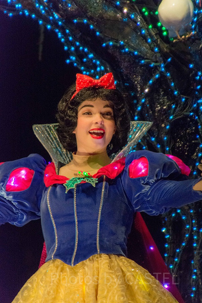 エレクトリカルパレード 白雪姫(TDL・夜) 設定:300㎜ SS1/100 F6.3 ISO3200