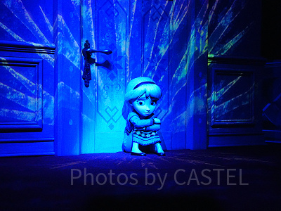 徹底レビュー】アナとエルサのフローズンジャーニーは落ちる！？怖い