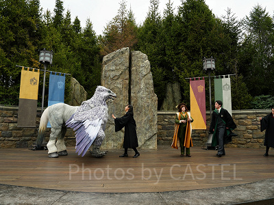 USJ魔法生物との出会い/ヒッポグリフ