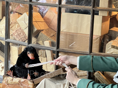 USJ魔法生物との出会い/ニフラー