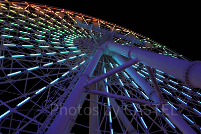 幻想的な夜空の空中散歩を楽しんで