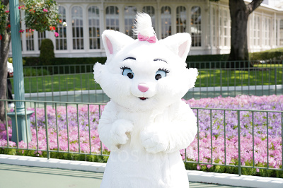 グリーティングも好きなだけ楽しみ放題！