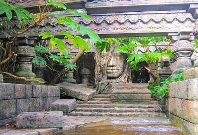 春のジャングルクルーズを楽しもう