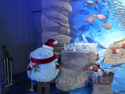 えのすいクリスマス：あわたんとのフォトスポット