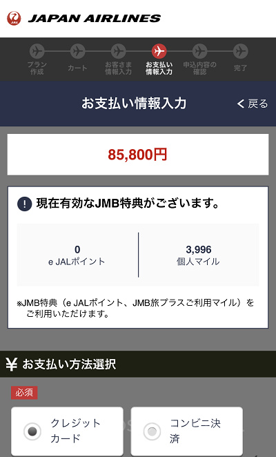 お支払い情報を入力（JAL）