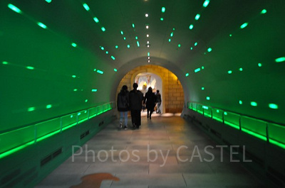 スーパーニンテンドーワールドの入口