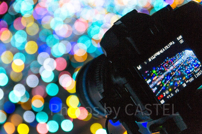 すべてがシャッターチャンス!