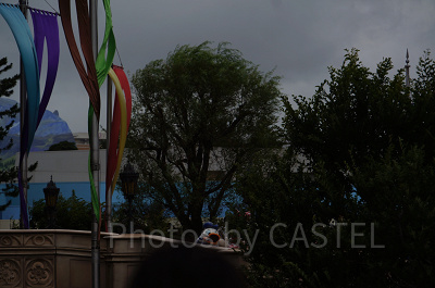 かすかなドナルド