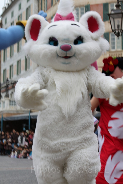 「おしゃれキャット」マリーちゃんです。