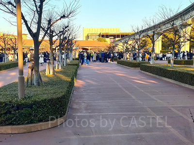 2023年2月ディズニーシー混雑状況レポート：サウスゲート（7:50頃）