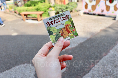 【料金】入場料金