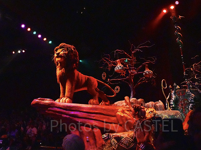 フェスティバル・オブ・ライオン・キング