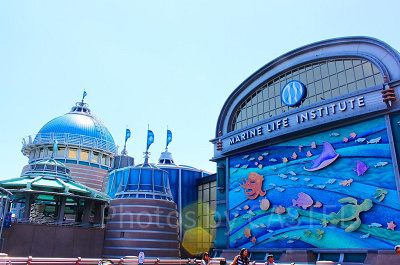 ファインディング・ニモシリーズ