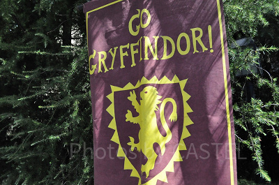 グリフィンドールの旗/USJ