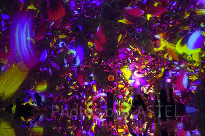 Floating in the Falling Universe of Flowers