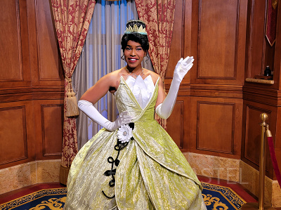 フロリダディズニーのホテル宿泊費