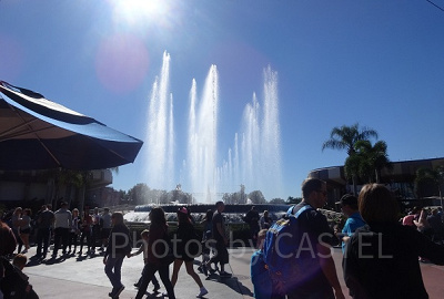 フロリダの日差し