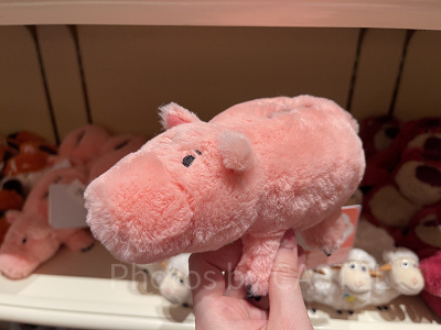 ディズニーランド・シーで買えるトイストーリーグッズ全種まとめ