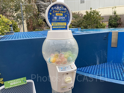 きらめきの泉の外周部に暮らす魚たちにあげられる餌のカプセル