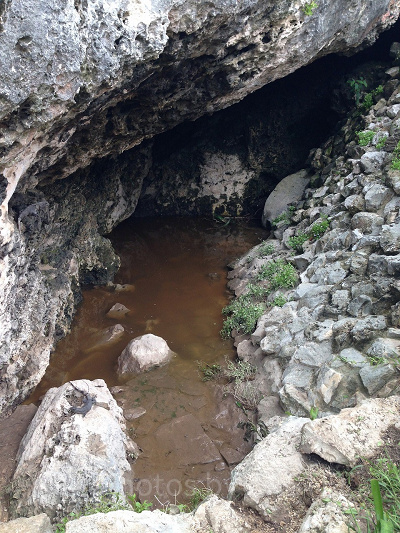 メキシコ・トゥルム遺跡の泉（セノーテ）