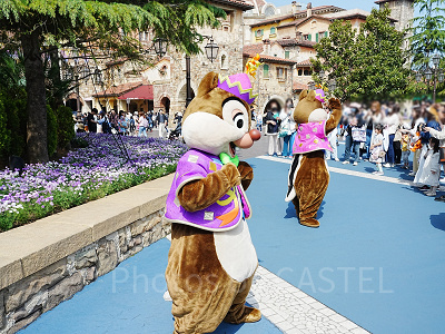 フリーグリーティングの様子