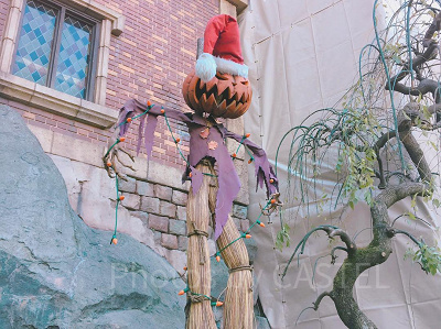 解説】ホーンテッドマンションのハロウィン版「ホリデー