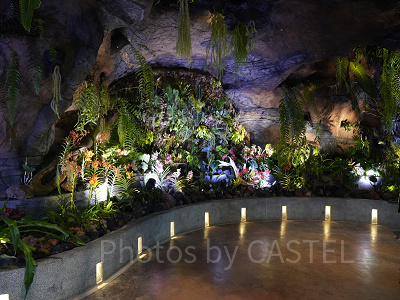 ガーデンズバイザベイ：フローラルファンタジー