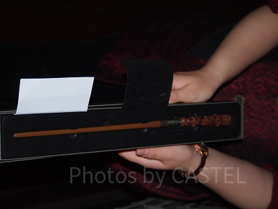 ジョージ・ウィーズリーの杖