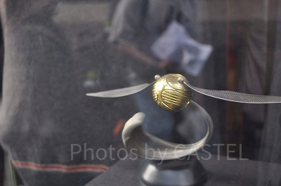 ゴールデンスニッチ