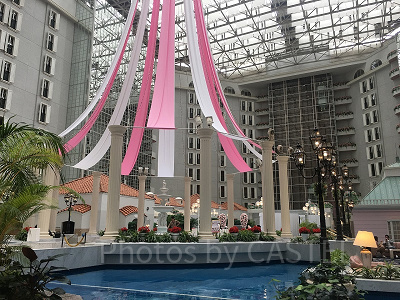 グランドニッコー東京ベイ 舞浜】リブランドしたディズニー