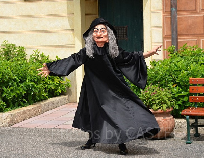 東京ディズニーシーでのグリーティング