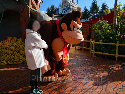 ドンキーコングとグリーティング(自身のカメラでの撮影は斜めから)