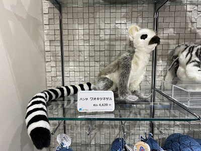 ハンサ ワオキツネザルぬいぐるみ