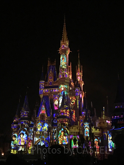 ハッピリー・エバー・アフターの様子