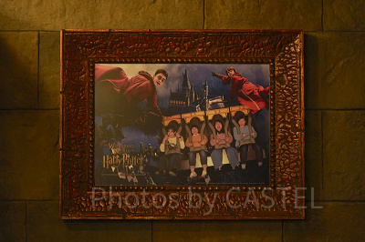 ハリーポッター・アンド・ザ・フォービドゥン・ジャーニー（USJ）