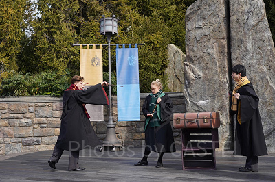 ハリーポッターのワンドスタディ