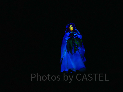 ホーンテッドマンション（東京ディズニーランド）