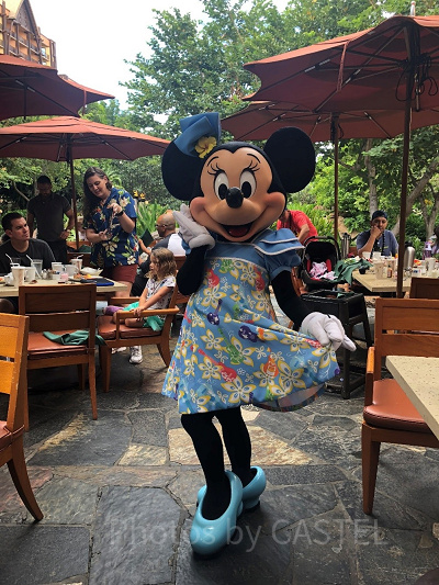 ハワイアンルックのミニーマウス