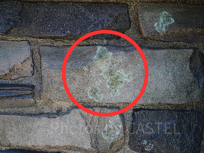 隠れオラフ〔アレンデール城近くの石橋〕