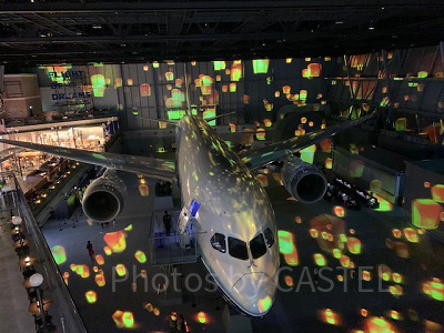 見どころ①：Fly with 787 Dreamlinerの様子